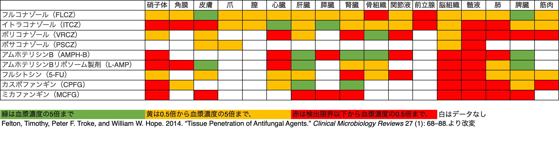 抗真菌薬の組織移行性